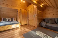 Apartamenty Willa Olsza Wood House & Mountain View & Sauna & e-Bike Rent Hotels in Tatra County