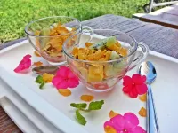 패밀리 하우스 @ 파이