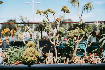 Hotel 1110 - Adults Only Hoteles cerca de Defense Language Institute