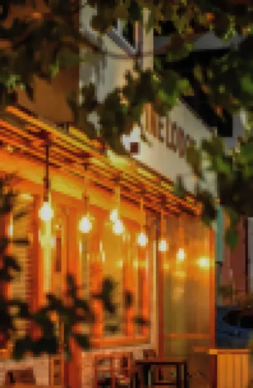 Pine Lodge Maldives Hotels near Ocean Junkies Dive Centre