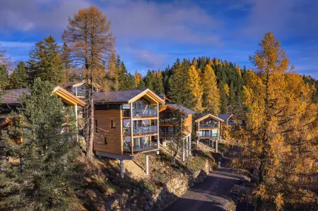 Naturchalets Turracher Höhe by Alps Resorts Отели в г. Предлиц-Туррах