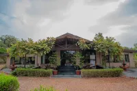 Clarks Safari Pushkar