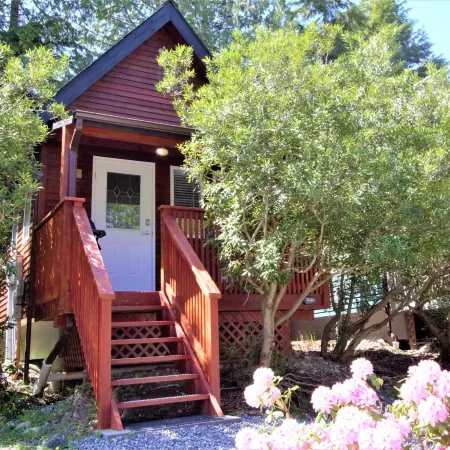 Cozy Cabin Near Walking Trails and Beaches!