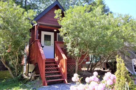 Cozy Cabin Centrally Located Close to Walking Trails and Beaches!