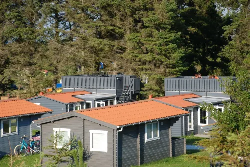Hanstholm Camping - Pet friendly