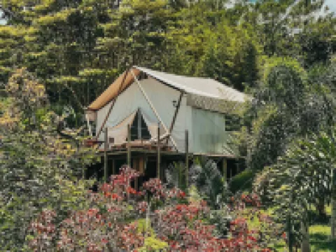 Glamping Entre Rios Hotels in Calarca