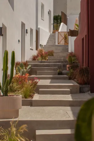 Vila Rodrigues Отели рядом со станцией Вокзал Ориенти