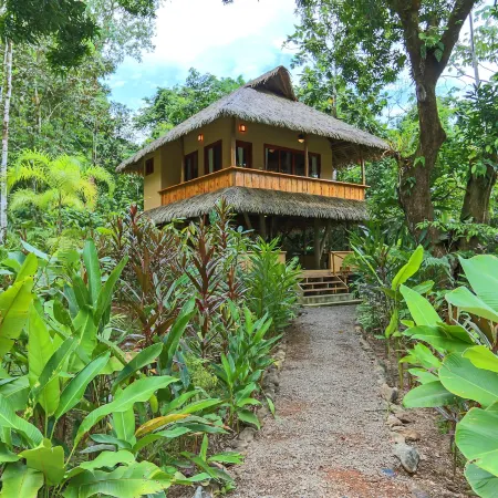 Copa De Arbol Beach & Rainforest Resort