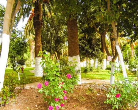 ホテル レ ジアニデス トレムセンのホテル