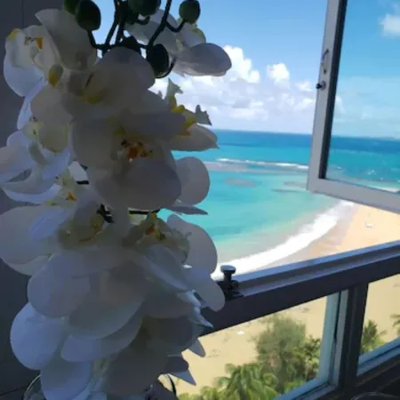 Breezy Beachfront Apt. View of Paradise