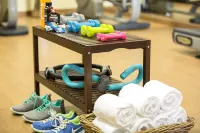 Myseahouse Flamingo - Gym