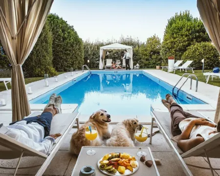 Grand Hotel Passetto Hotels in Ancona