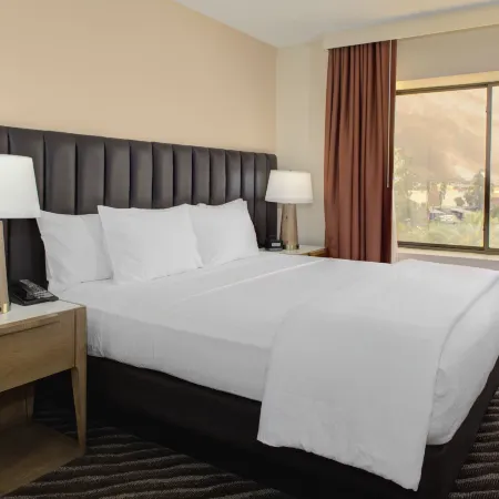 Embassy Suites by Hilton Phoenix Scottsdale
