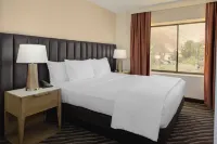 Embassy Suites by Hilton Phoenix Scottsdale