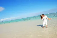 Palm Grove - Beach