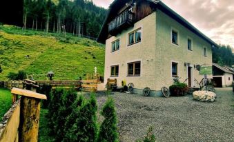 Holiday Home Muhr Near Katschberg Ski Area