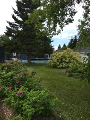 Timberland Motel Hotels in 