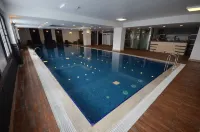 薩里卡米斯原生態酒店 - 泳池