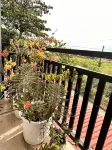 Rozay Travellers Inn Hotels in Kabankalan