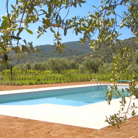 La Pulledraia Del Podere Montegrappa