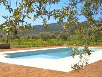 La Pulledraia Del Podere Montegrappa