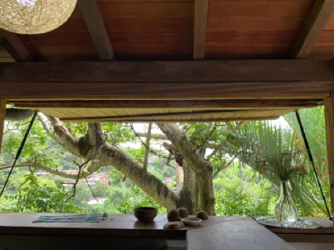 Ecolodge Martinique Hotels in 