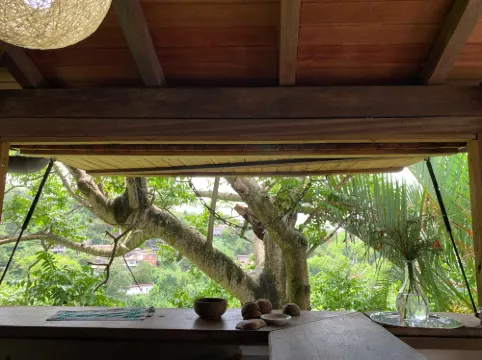 Ecolodge Martinique
