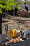 Sediba Luxury Safari Lodge - servizio colazione