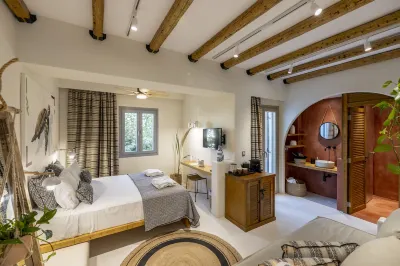 The Artemis Hotel Hotels near Plaka Beach