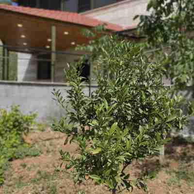 Fragrant Rose Hotel Exterior