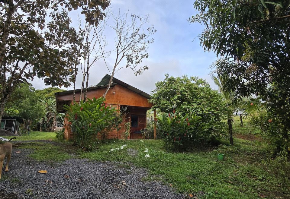 Hotel Boca Tapada Rainforest, Exterior, Garden