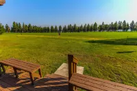 Timbers at Island Park