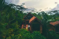 Amor Arenal Adults Friendly