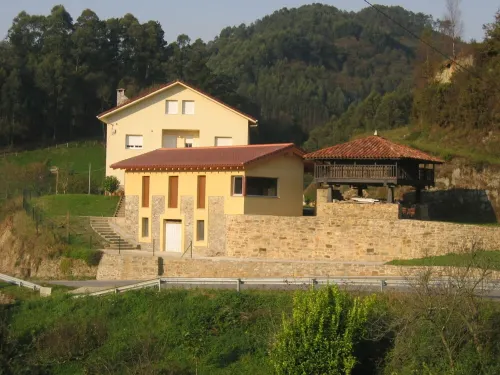 Beautiful views of the green nature from the inside Asturiana
