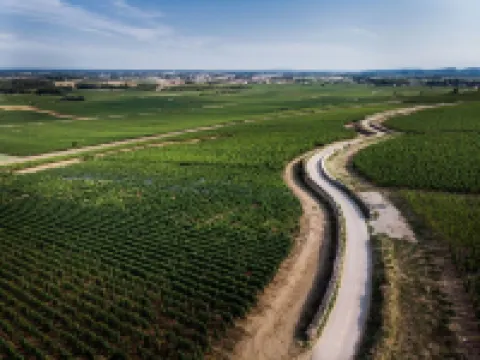 Venez Passer un Séjour Oenotouristique en Bourgogne !