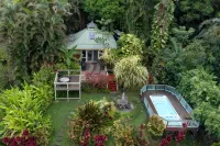 Romantic Cottage, Private Acre of Paradise, View! Pool! Hotel in zona Limahuli Garden and Preserve