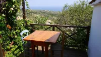 Little Yellow House With Beautiful Sea View Hotels in Sporades