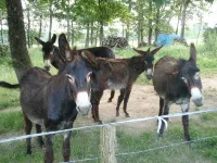 Sauna, hot bathe, enjoy, bien-être, feel good Hotels in Montpont-en-Bresse