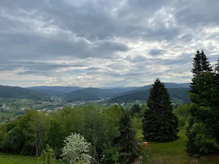 Chalet du Domaine des Lupins Отели рядом с достопримечательностью «Camping Verte Vallée : dans les Vosges proche Gérardmer avec piscine et gîtes»