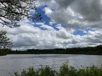 Realx and Adventure in Vogelsberg Hotels in Schotten