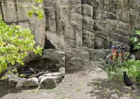 The treehouse cabin Hotel di 