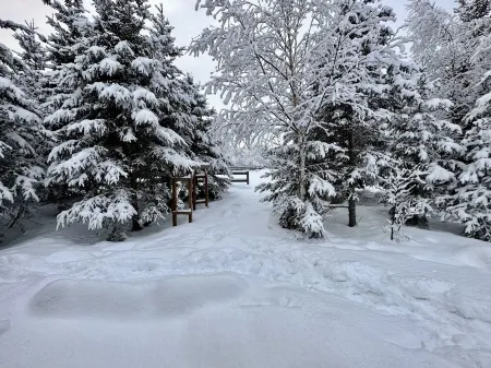 Cozy Romantic Getaway Cabin Отели в г. Найк-Фэрвью