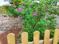 Vacation apartment Heide I Hotels in Bomlitz