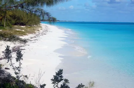 On hilltop with pool. Only 400 feet down to waterfront, dock & kayaks.