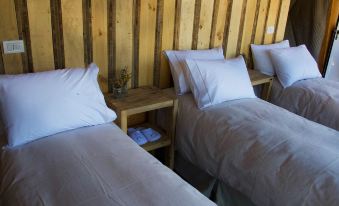 Huemules Reserva de Montana