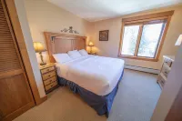 Springs 8862 by SummitCove Lodging