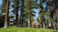 3 Bedroom Condo with Amazing Location Just Steps to Mammoth Mountain by RedAwning