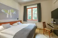 Jufa Hotel Mariazell Hotels in Mitterbach