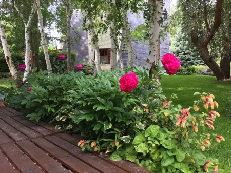 El Colibrí Cabañas de la Naturaleza