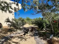 Eco living 2 bd oasis with ocean view Casa Milpa